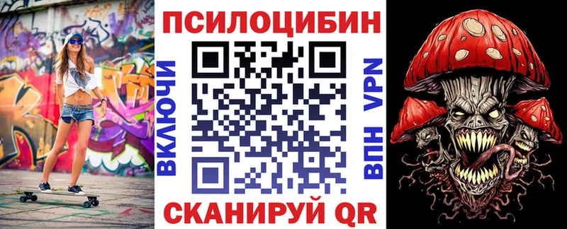 дарнет шоп  Лермонтов  Галлюциногенные грибы MAGIC MUSHROOMS 
